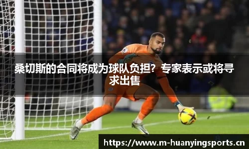 幻影体育平台